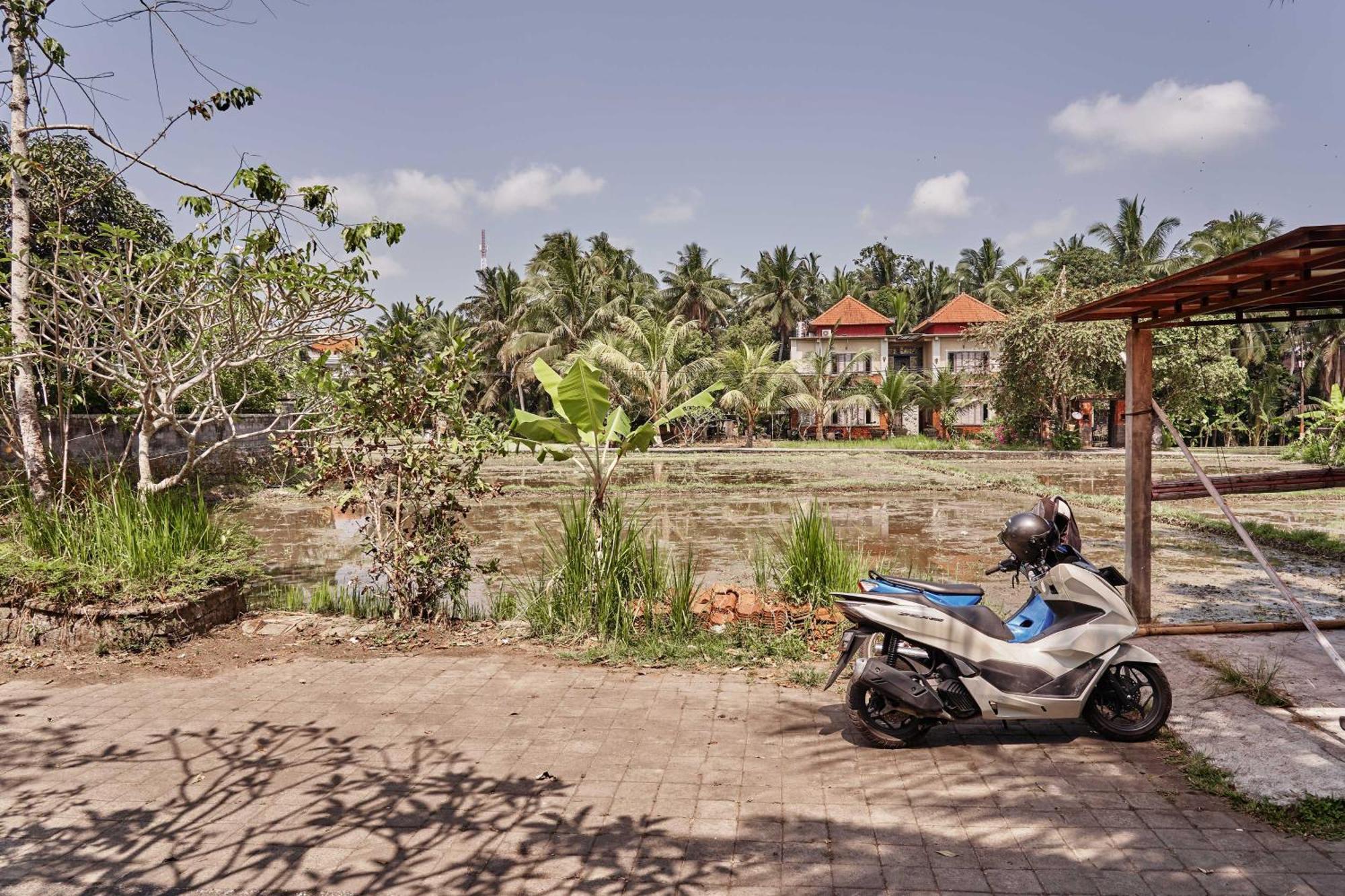 The Pause Inn - Soca 1 Ubud  Luaran gambar